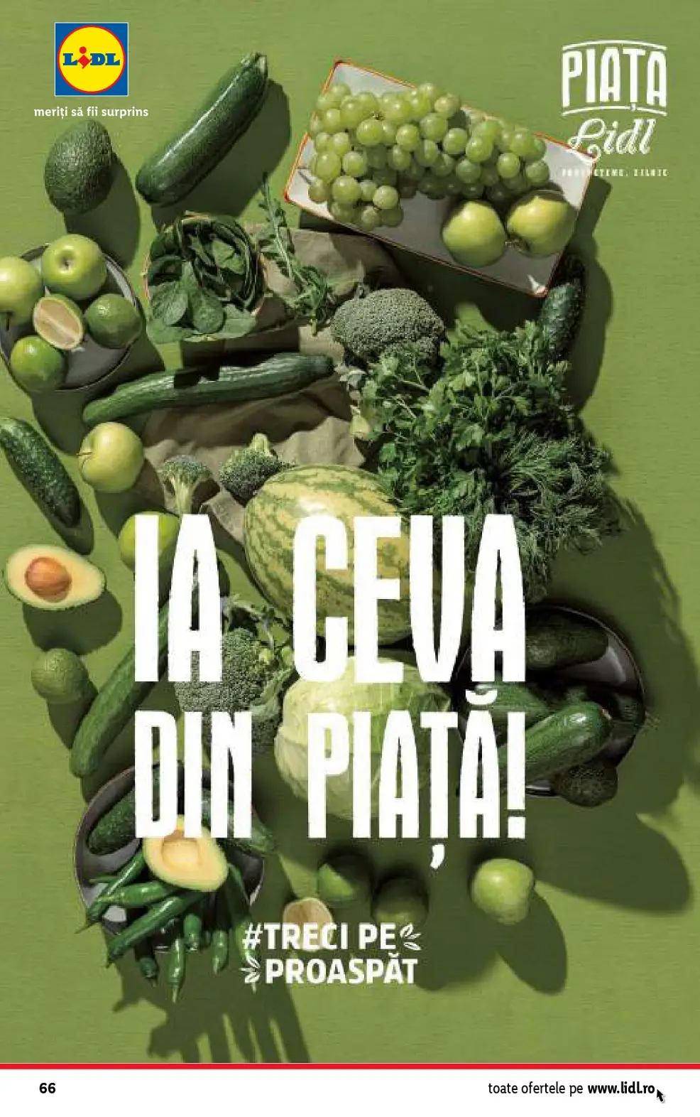 catalog Lidl